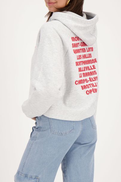 Grey Paris city hoodie
